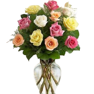 15 multi-colored roses | Flower Delivery Elista